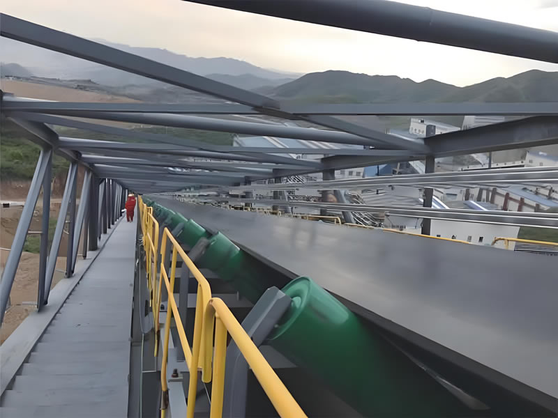 TD Roller Belt Conveyor