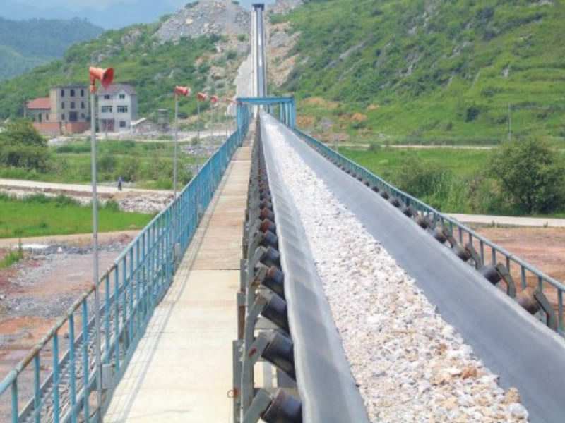 TDII Roller Belt Conveyor